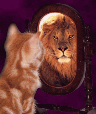 Image result for cat reflection lion